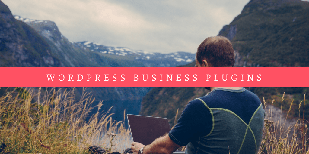 WordPress Business Plugin Guide